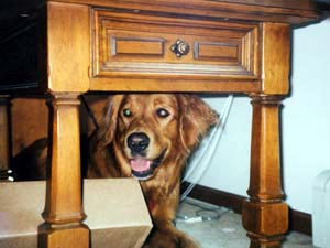 Zooey with her giant stick