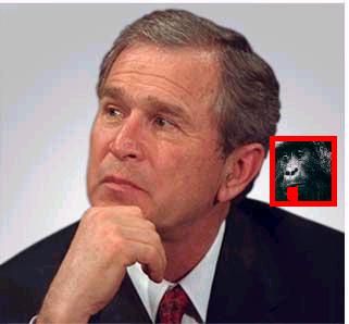bush with ape 1