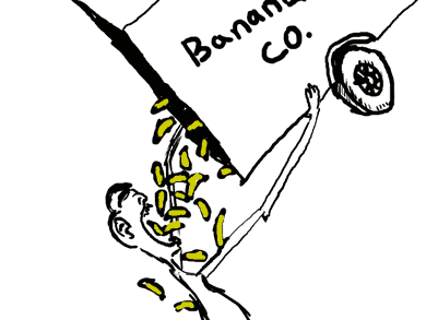 in another evolutionary wonder, the monkey elongates its arms and lifts a 3 ton truck full of bananas. the golden fruit  falls into the monkey's gaping mouth.
