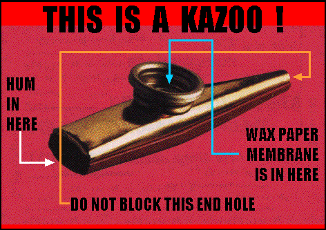 THE SCIENCE OF KAZOO