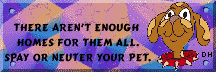 Spay Your Dog