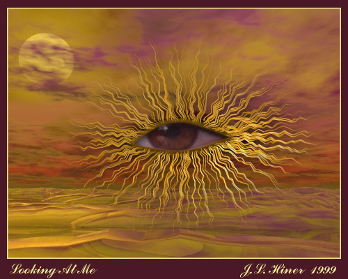 lookfin.jpg (99211 bytes)