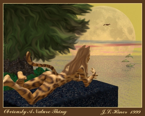 nat2fin.jpg (104085 bytes)