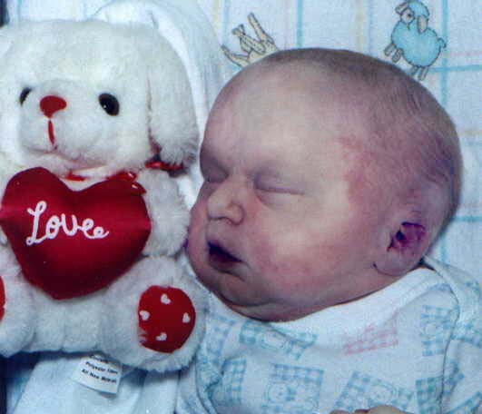 Seanclear.JPG (30340 bytes)