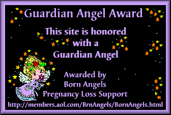 baplsa1.gif (13804 bytes)