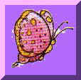 butterfly1.jpg (7116 bytes)