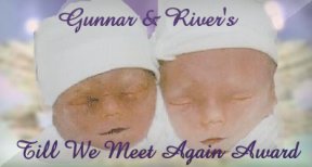 gunrivaward.jpg (9392 bytes)