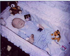 visitsean.jpg (10476 bytes)