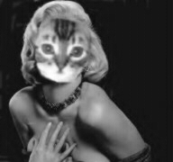 Marilyn Kitty!