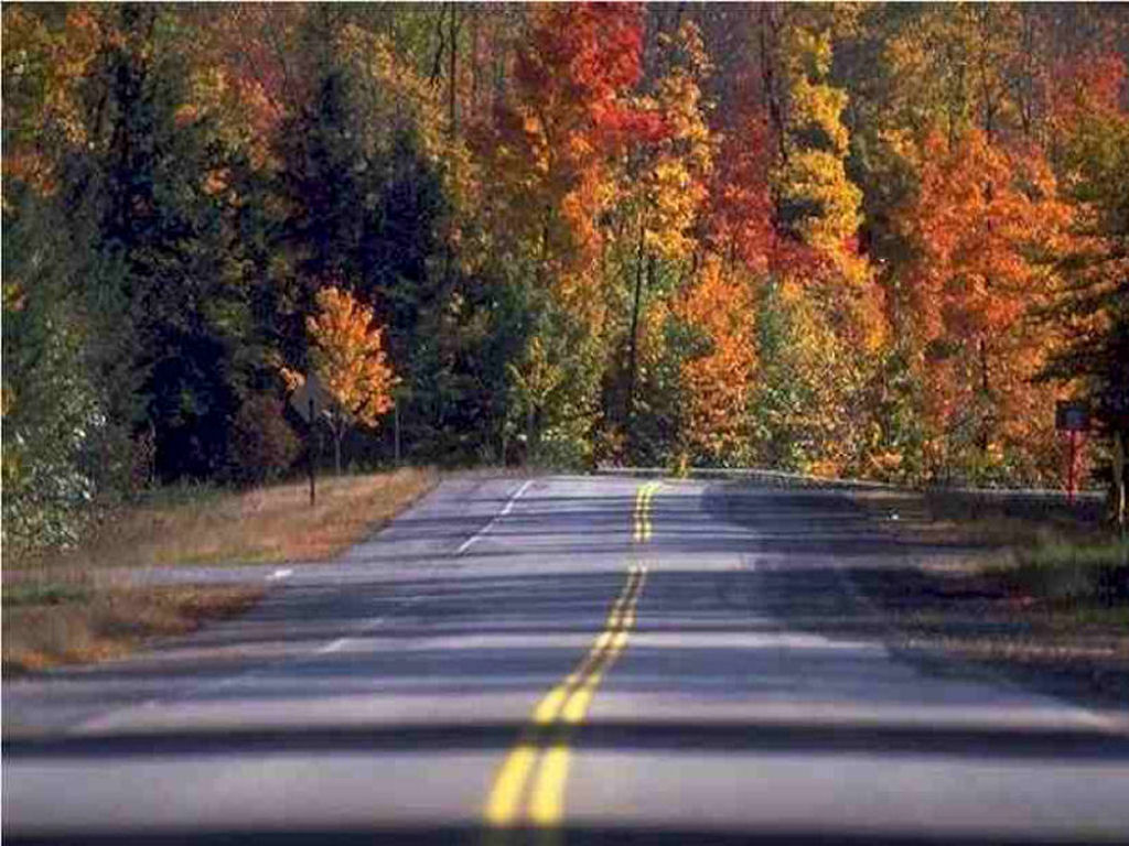 On the Road with LOVE!