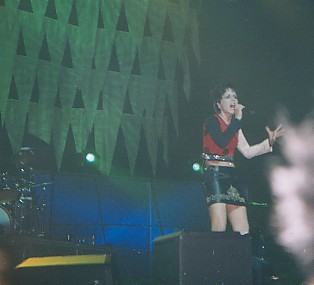 Cranberries en Toulon