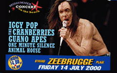 Axion Beach Festival