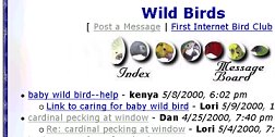 Wildbird Message Board