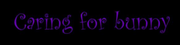 Caring for your bunny