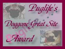 {baby and geisha's award}