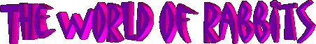 {the world of rabbits}