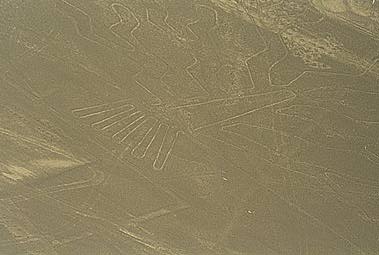 NazcaL1.jpg (16021 bytes)