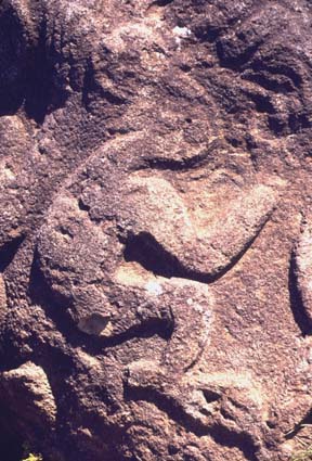 ei3.jpg (76660 bytes)