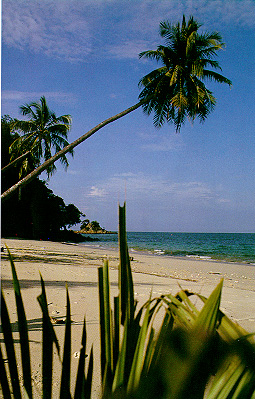 Chinese Language Magazine