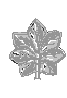 LT.COL. INSIGNIA