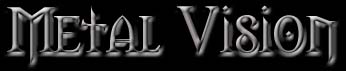 metalvisionlogo.jpg (11116 bytes)