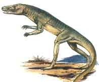 Ancestral do Dinossauro