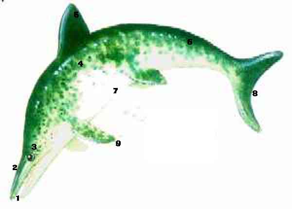 ict2.JPG (13932 bytes)