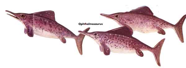 Ophthalmosaurus