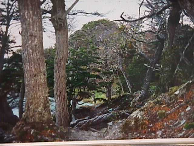 natuurparktierradelfuego