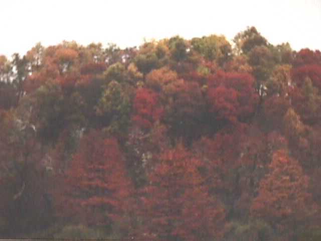 prachtige_herfstkleuren