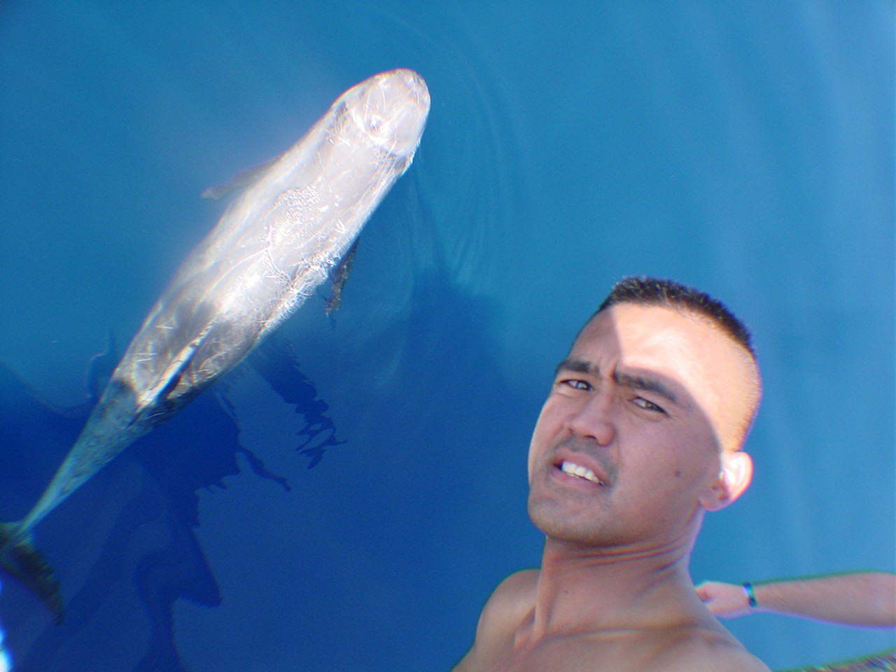 Mario gets a pose with the Dolphin.