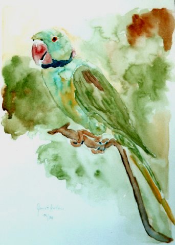 ANIMAL PORTRAITS BIRDS