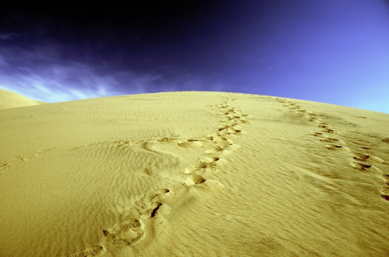 A nice sunset actually in Kansas on teh way up to Colorado.