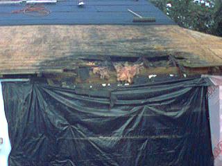 Dirty, rotten roof!