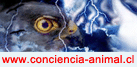 Conciencia Animal