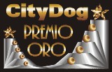 Solo Gatos ganó el Premio de Oro de City Dog ¡Gracias City Dog!