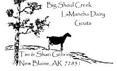 Lone doe chews her cud * Soft breeze sighs through the pine limbs * Will she kick the pail?  Haiku by Sharisen