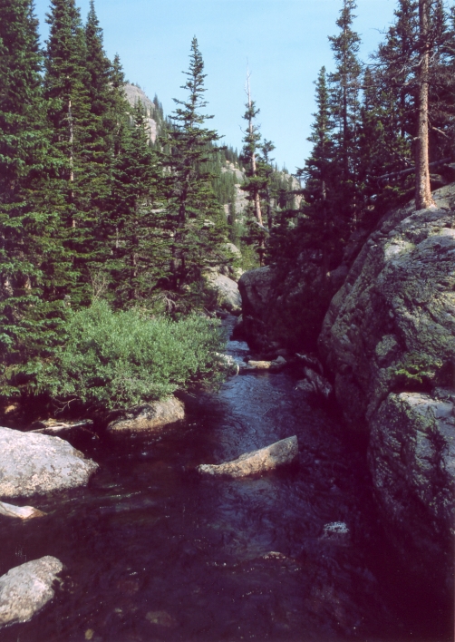 A view of Glacier Creek from a bridge on the trail heading toward camp