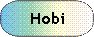 Hobi
