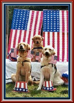 Patriotic Pups!