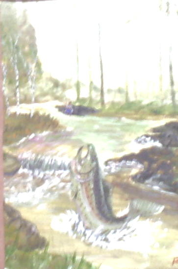 A Good Day of Fishing