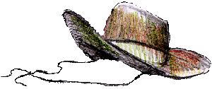 Cowboy's hat