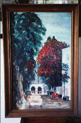 Chinese Lantern tree