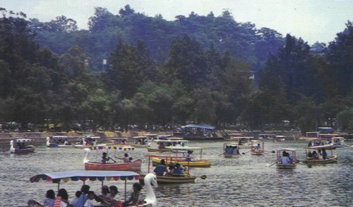 Burnham Lake, near Harrison Road. Photo by Boidin Teo