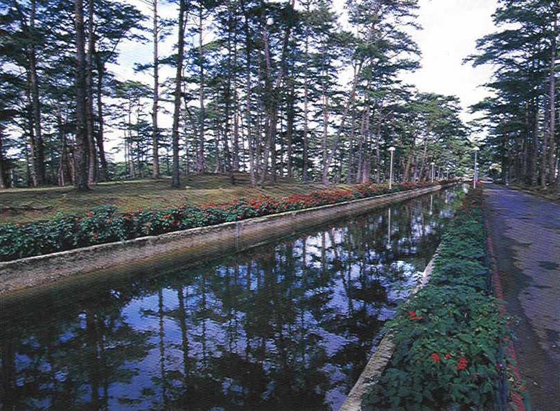 The Pool. Photo by Lorenzo Tan