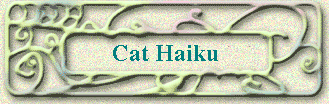 Cat Haiku