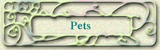 Pets