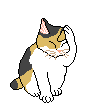 cat_cleaning.gif (5748 bytes)