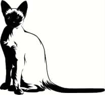 Siamese