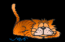 lazycat.gif (4288 bytes)